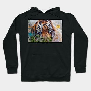 The eye of the tiger Hoodie